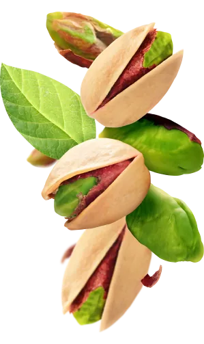 Antep fıstığının faydaları